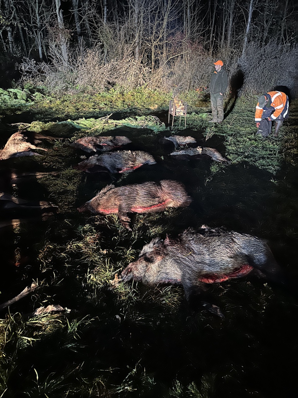Drückjagd
